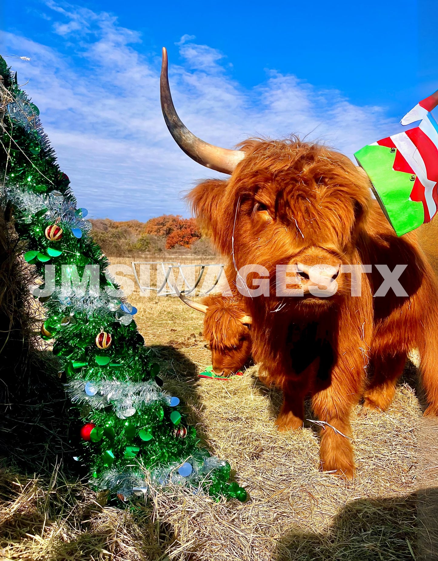 Annoyed Elf