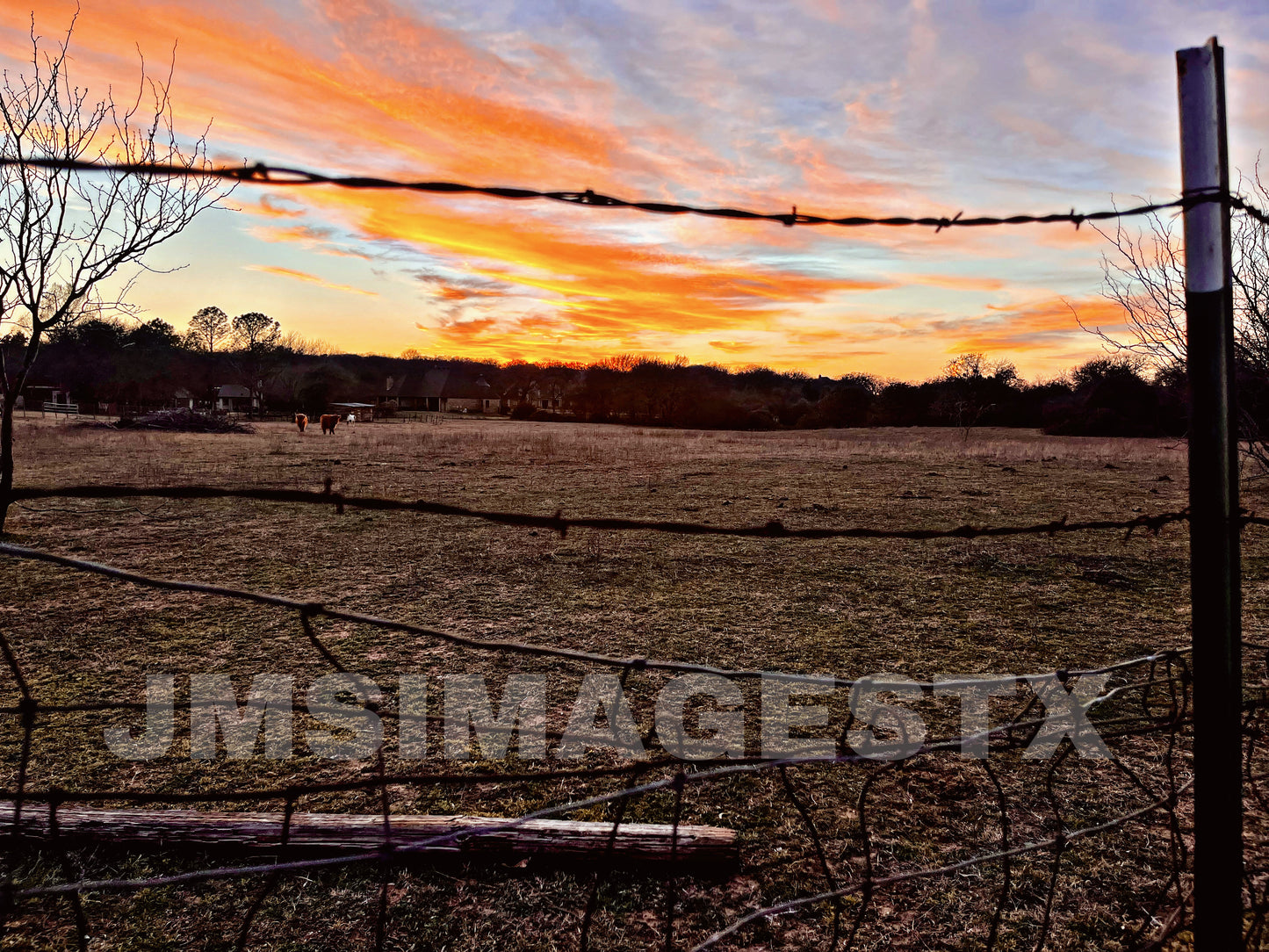 Rusty skies