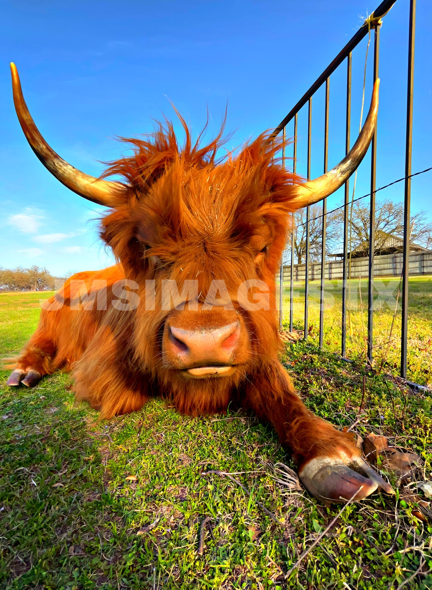 Bed head