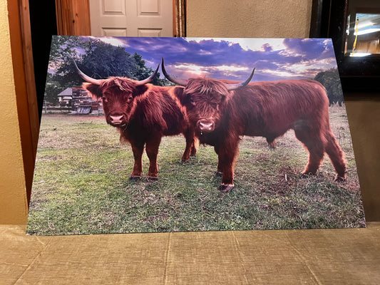 Just added metal prints!